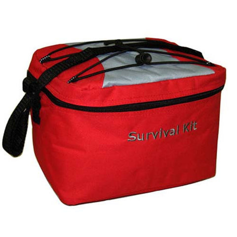 Red Large Cooler Bag